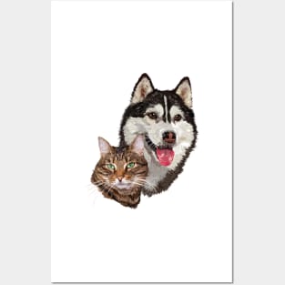 Cat and husky Posters and Art